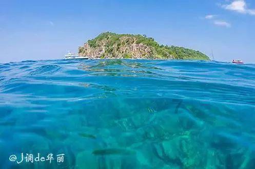 深圳5G + 无人机血液空港平台在深圳市血液中心正式启用
